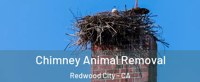 Chimney Animal Removal Redwood City - CA