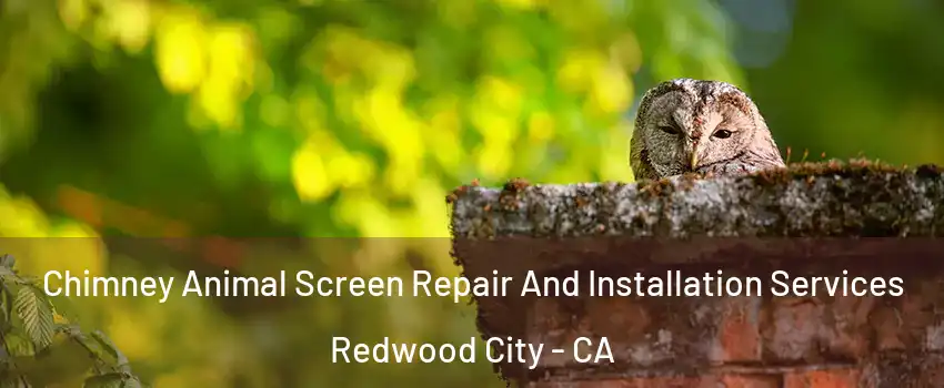  Chimney Animal Screen Repair And Installation Services Redwood City - CA