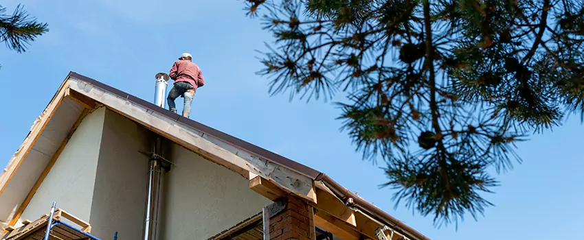 Birds Removal Contractors from Chimney in Redwood City, CA