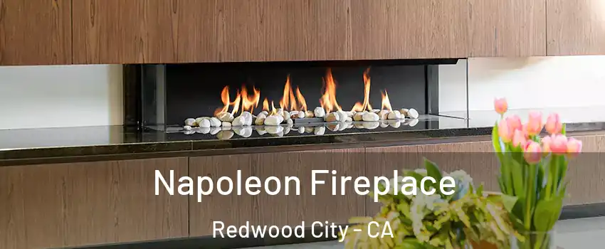  Napoleon Fireplace Redwood City - CA